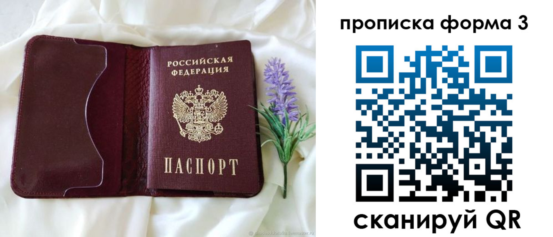 прописка 2025 в Черепаново